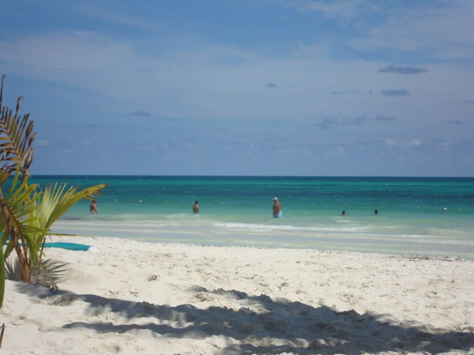 Hotel Catalonia Playa Maroma Catalonia Playa Maroma