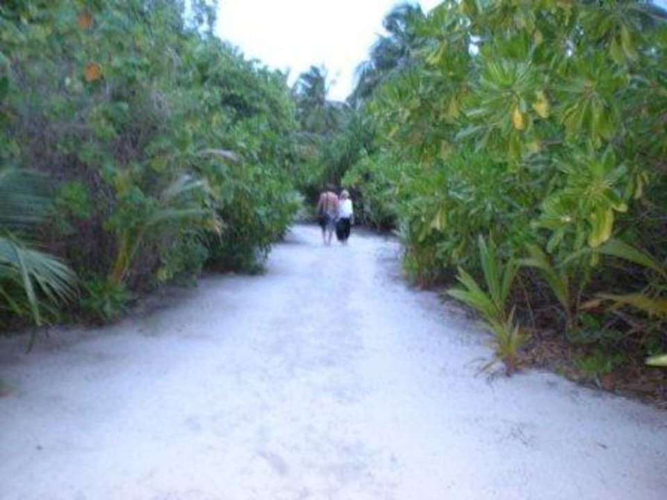 Weg zur Landzunge Kuramathi Maldives