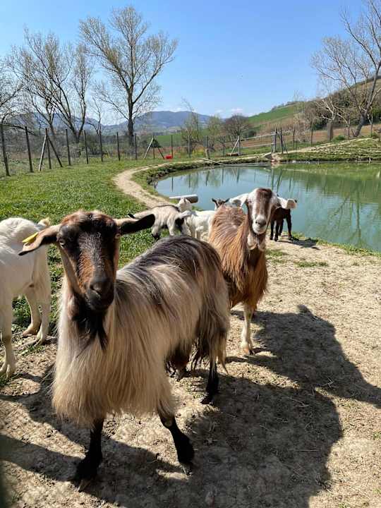 Sport & Freizeit Colleolivi