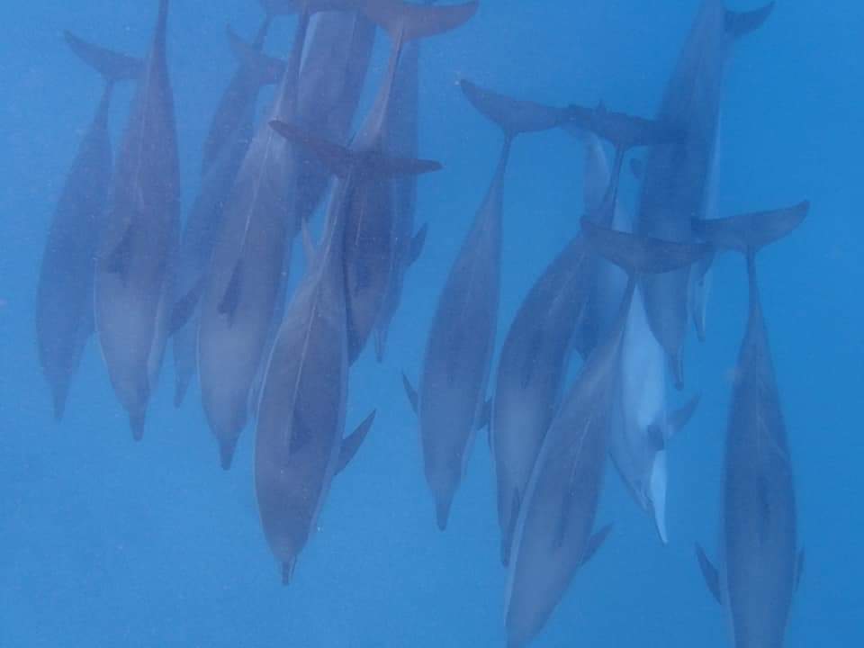 Sonstiges Brayka Bay Resort