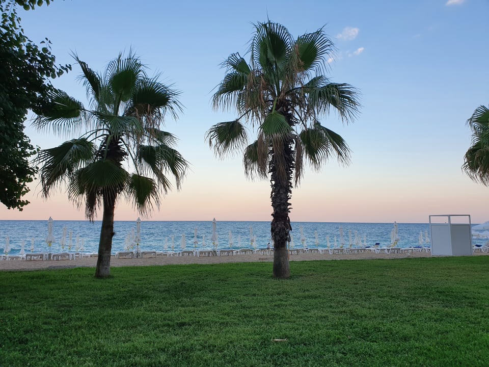 Strand Sentido Marea