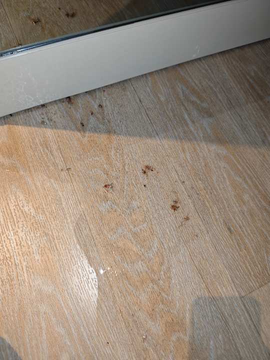 Zimmer Monachus Family Resort Sorgun