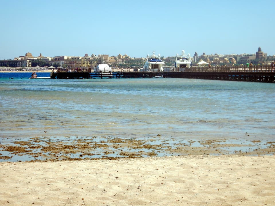 Strand bei Ebbe Cleopatra Luxury Resort Makadi Bay