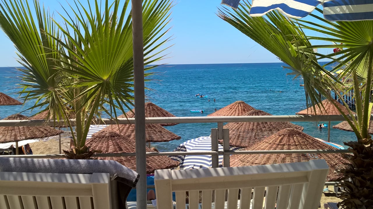 Strand Dizalya Palm Garden