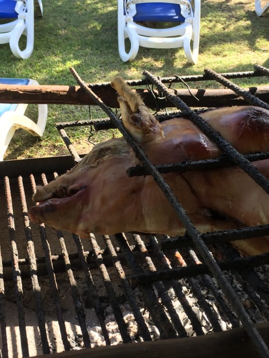 Restaurant Blau varadero - Adults only