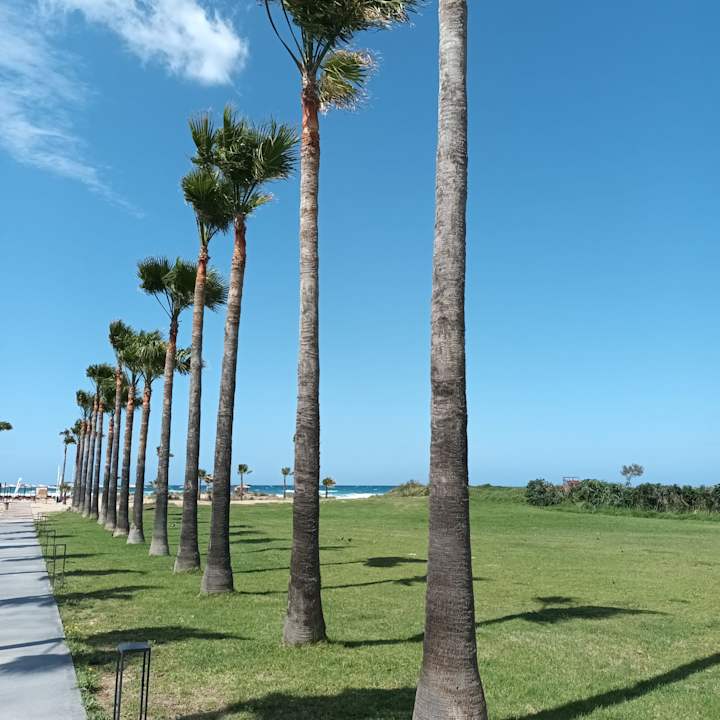 Ausblick Delfina Tropic Beach