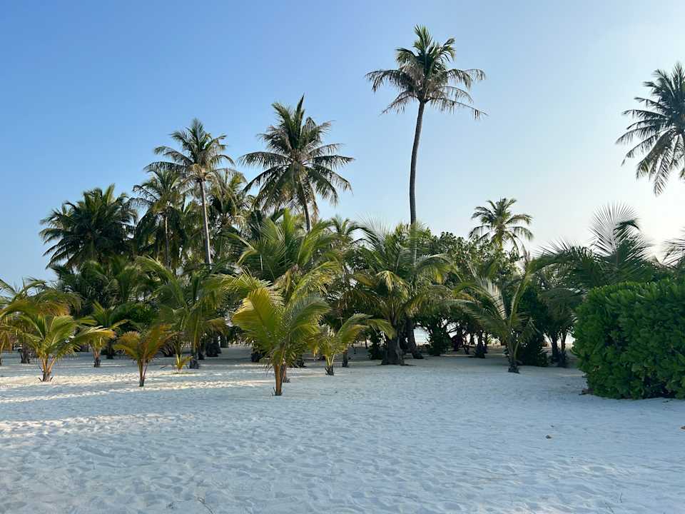 Gartenanlage Hotel Riu Atoll
