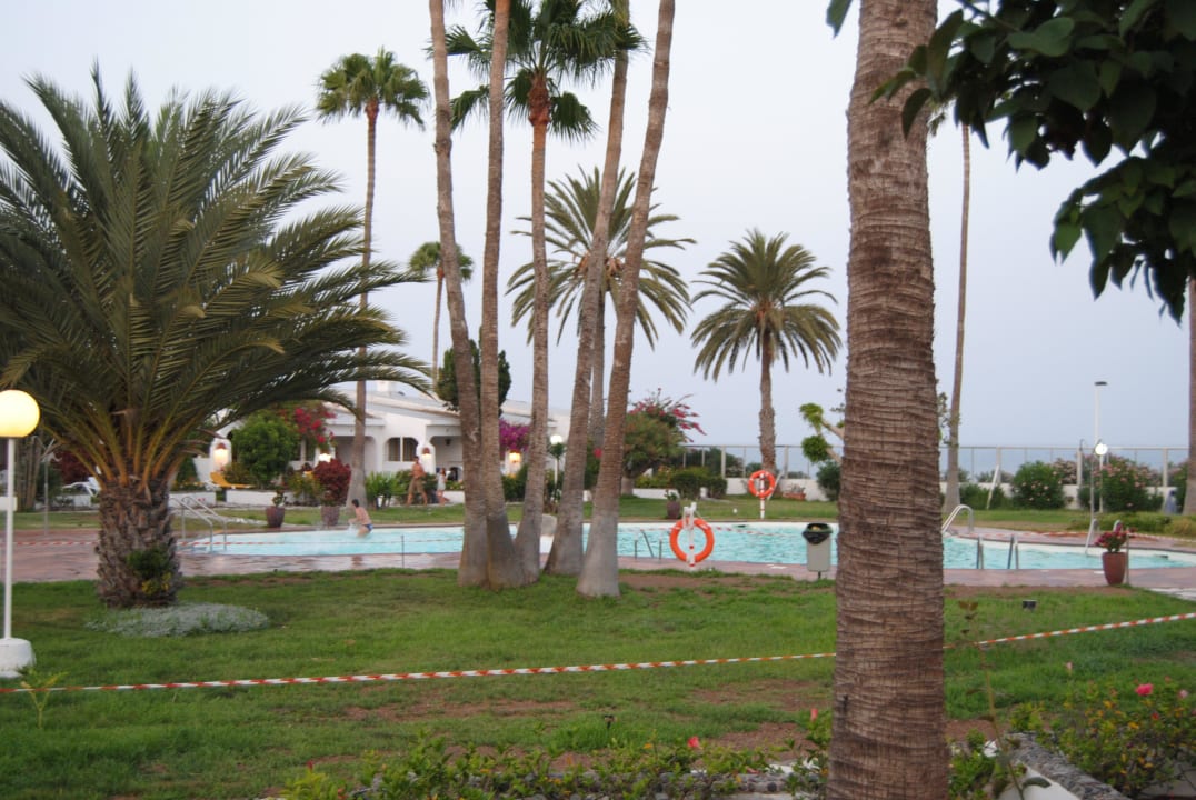 Schön Sahara Beach Club