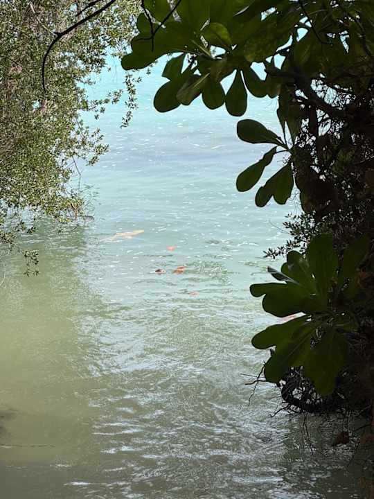 Strand Furaveri Maldives