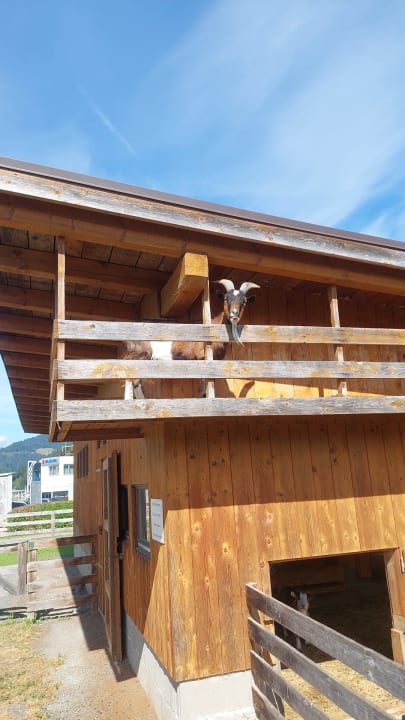 Sport & Freizeit EuroParcs Hermagor Nassfeld