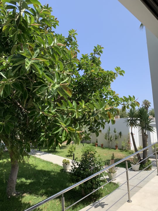 Gartenanlage Summer Village of Hippokrates - Adults only