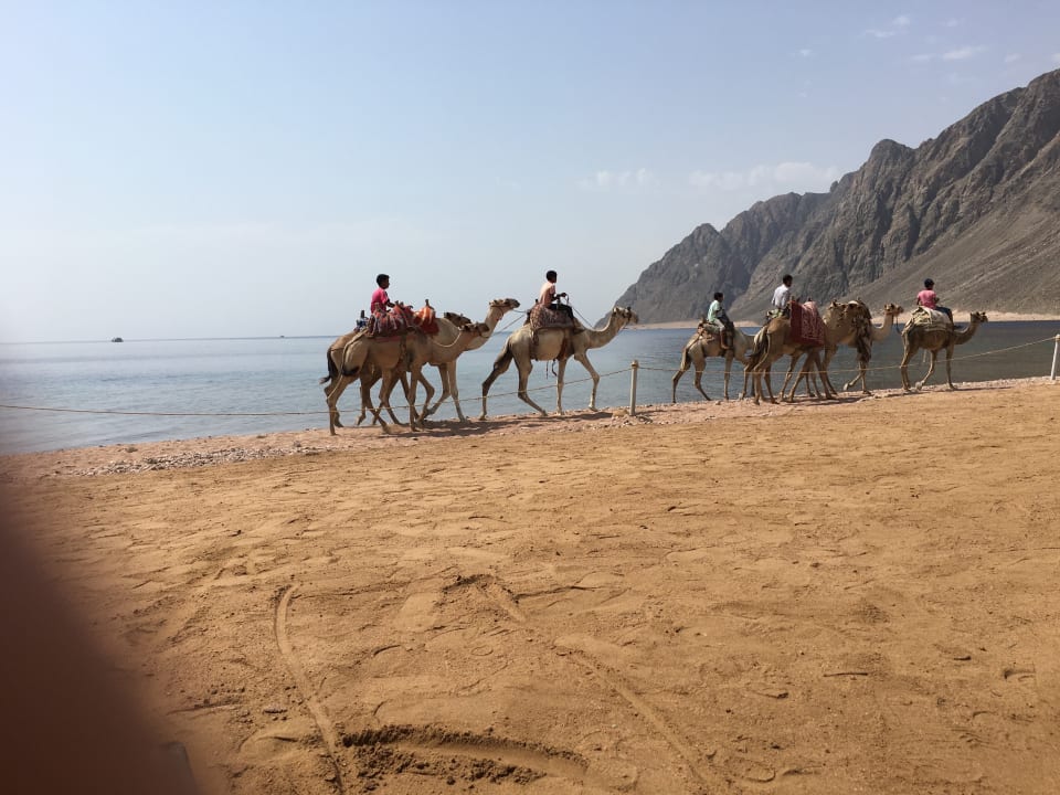 Strand Happy Life Village