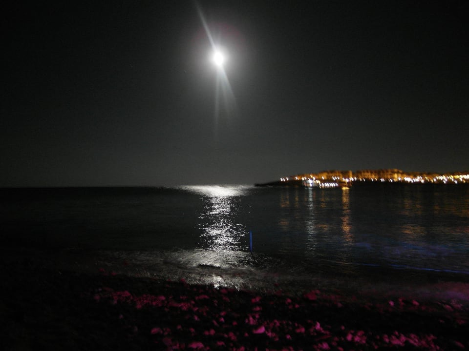 Moonlight Serenade Steigenberger Coraya Beach - Adults only