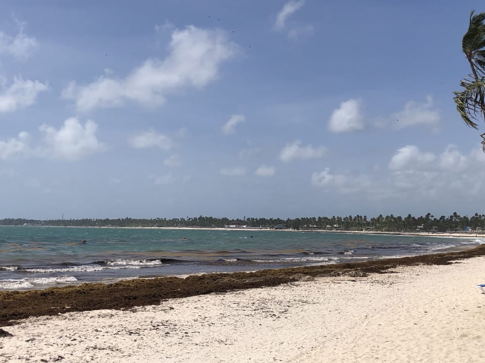 Strand Vik Hotel Arena Blanca & Cayena Beach