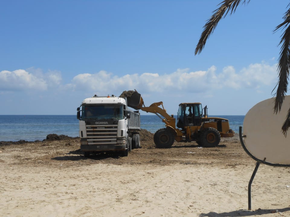 Mitten am Tag am Strand! Hotel Sangho Club Zarzis