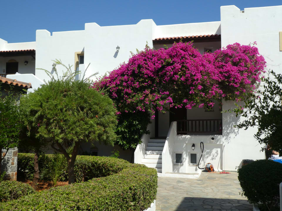 Gartenanlage Alexander Beach Hotel & Village Resort