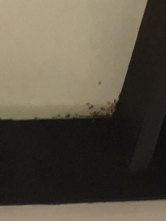 Zimmer Kihaa Maldives