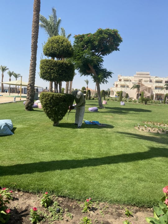 Gartenanlage Pickalbatros Palace Resort