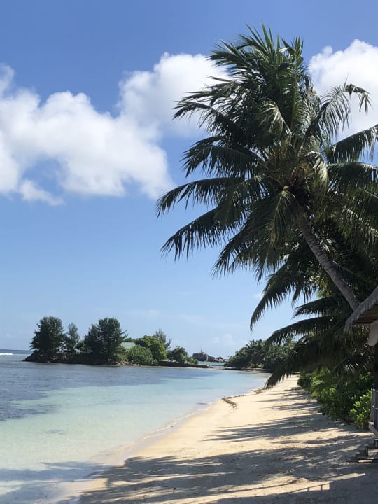 Hotelstrand vom Frühstückstisch  La Digue Island Lodge