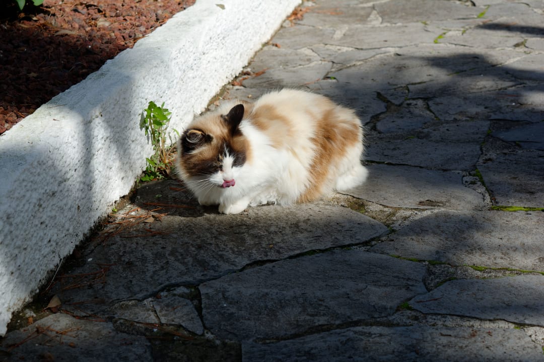 Sonstiges Apartments Ambassador