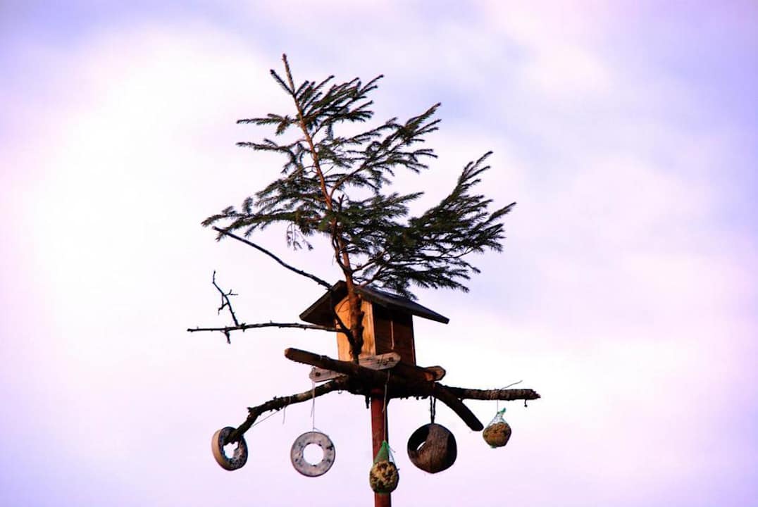 Vogelbaum Ferienheim Foischinghof