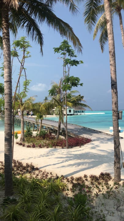 Gartenanlage OZEN LIFE MAADHOO