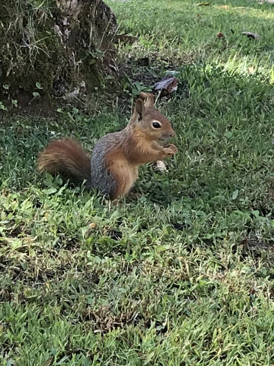 Gartenanlage Asteria Family Belek