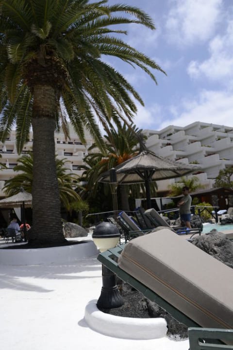 Pool mit Liegen und schönen Palmen Paradisus by Meliá Salinas Lanzarote