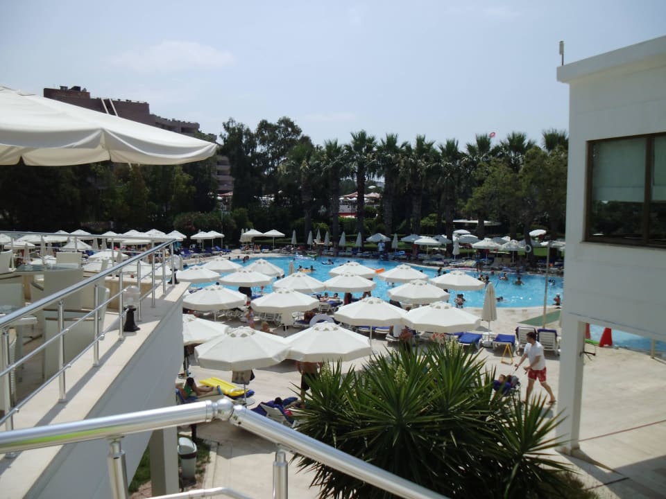 Pool  Asteria Collection Side