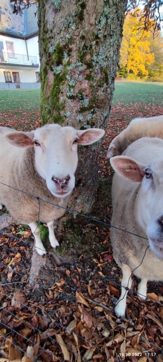 Ausblick Berghotel Hoher Knochen