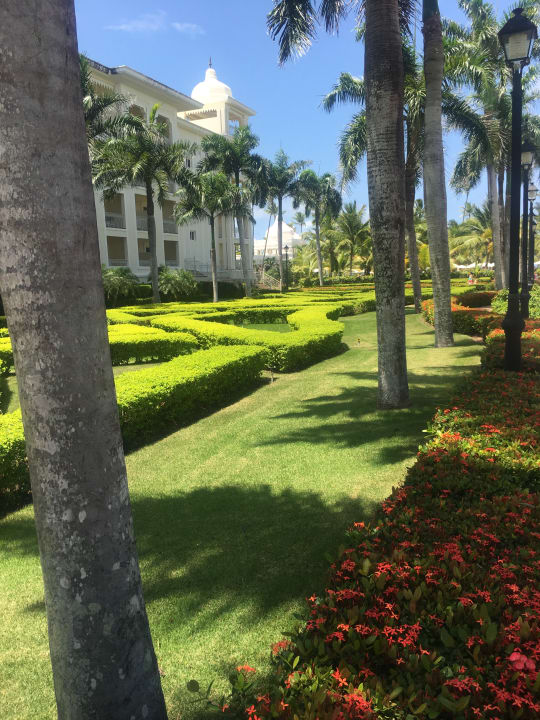 Gartenanlage Hotel Riu Palace Punta Cana