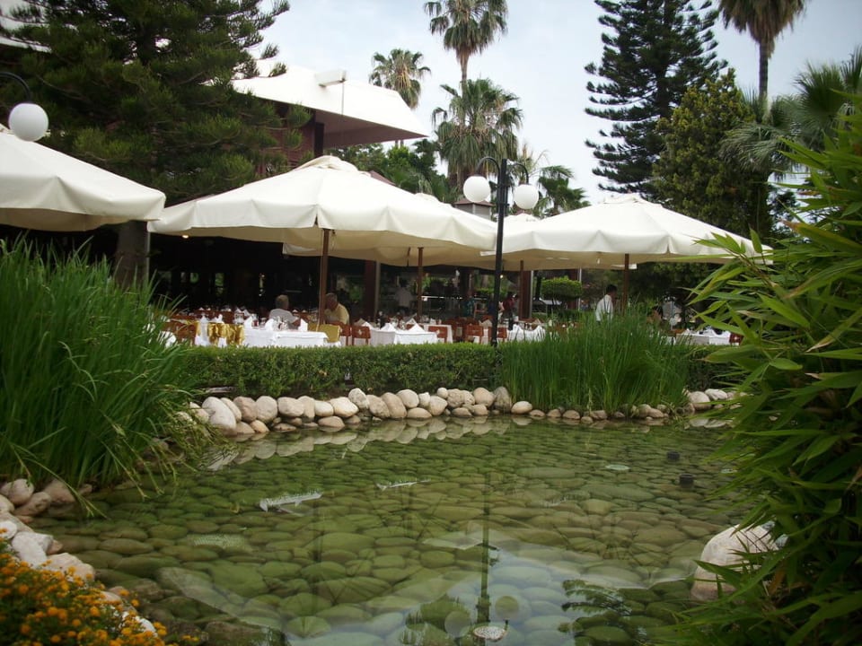Aussenterrasse Labranda Alantur Resort