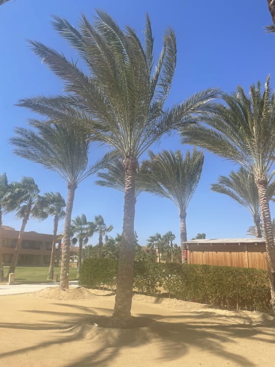Strand Casa Mare Resort