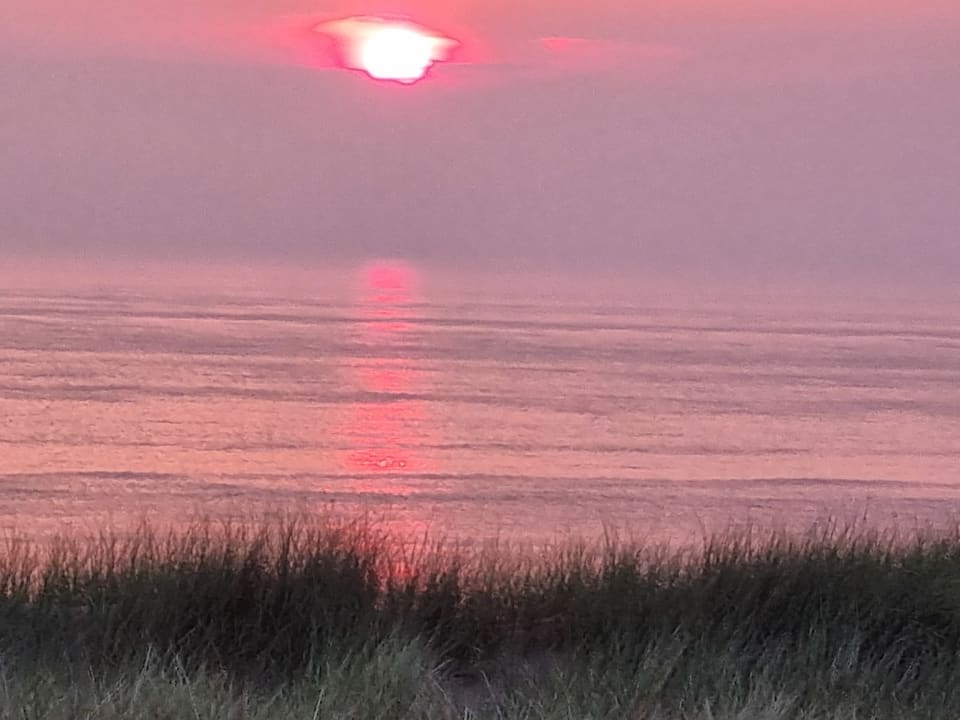 Ausblick Fletcher Badhotel Callantsoog