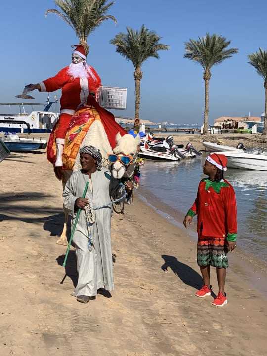 Sonstiges Continental Hotel Hurghada