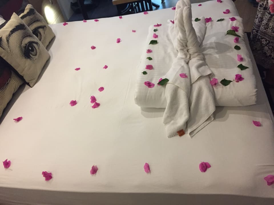 Zimmer Hotel Delphin Imperial