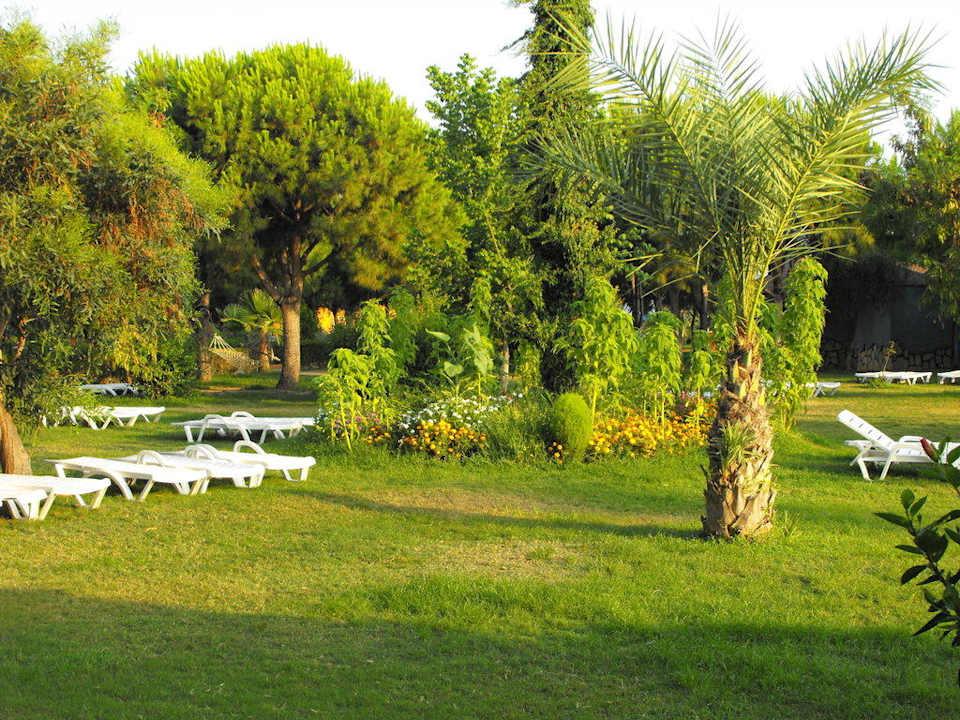 Bester Platz zum Relaxen Club Turtas Beach Hotel