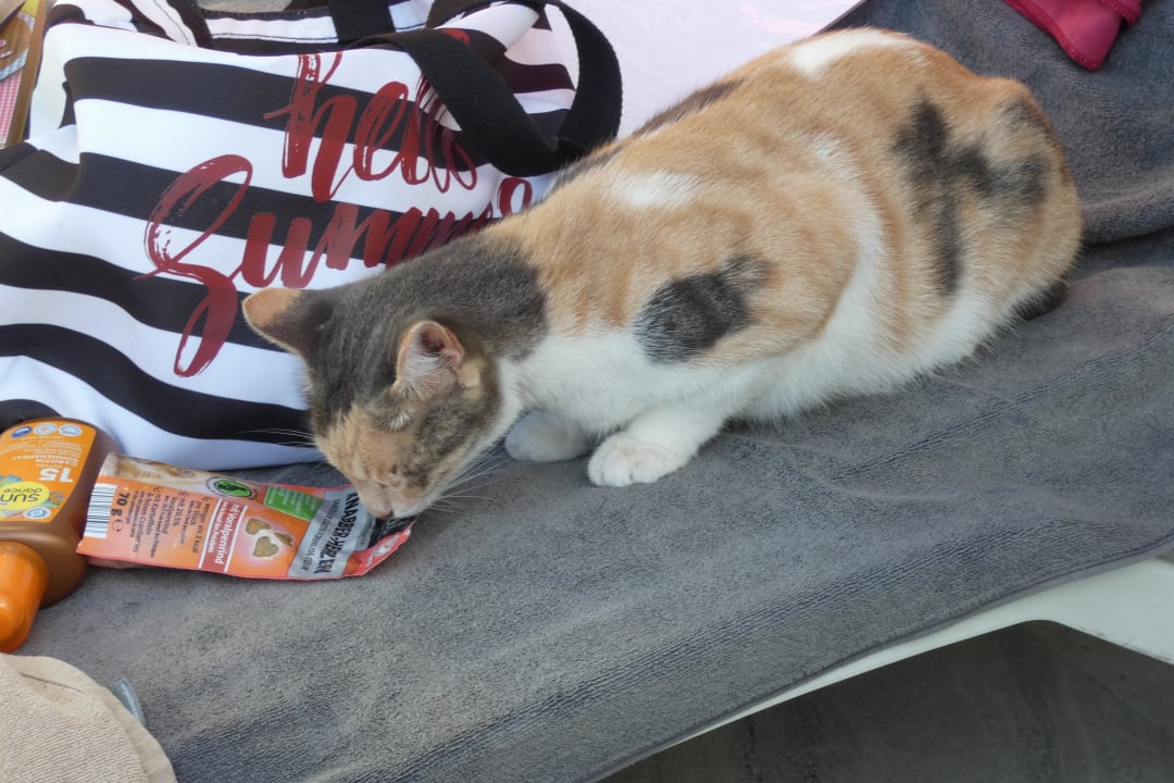 Pool Hane Family Resort