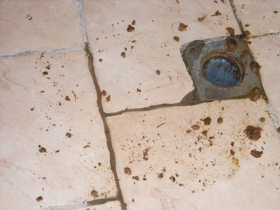 Sauberkeit und Hygiene auf den Gängen! Regency Plaza Aqua Park & Spa