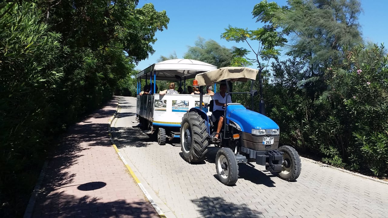 Strand Shuttle Crystal Paraiso Aqua Collection