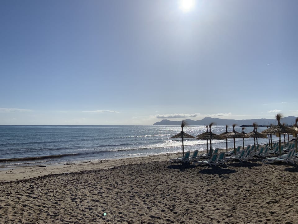 Strand Grupotel Farrutx