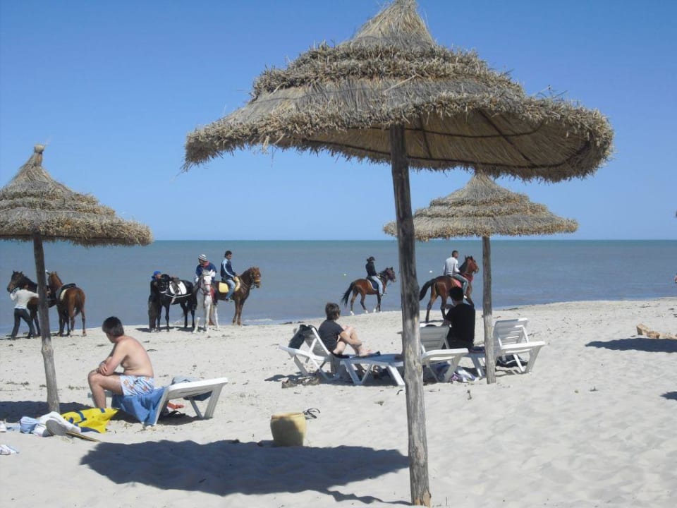 Reitangebote am Strand Club Marmara Palm Beach Djerba