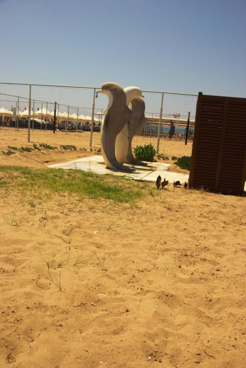 Aufgenommen am 27.05. Hane Family Resort