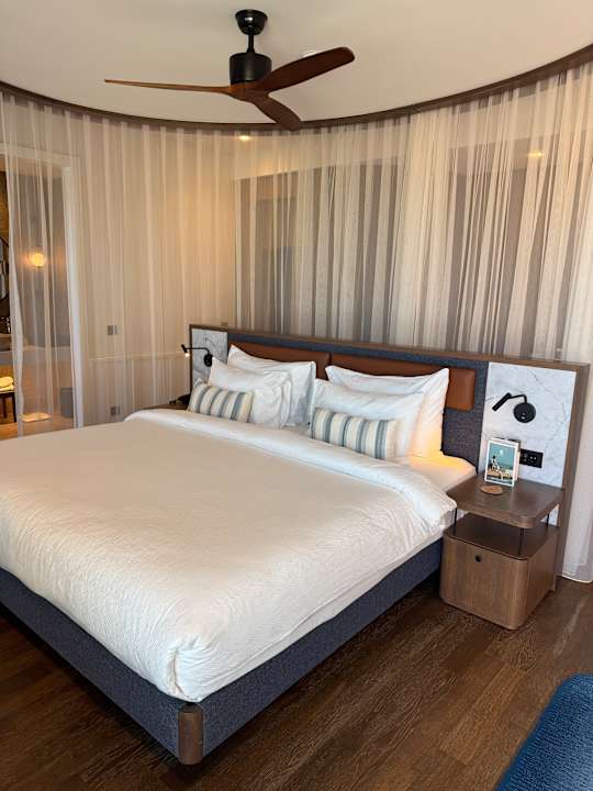 Zimmer Anda Barut Collection