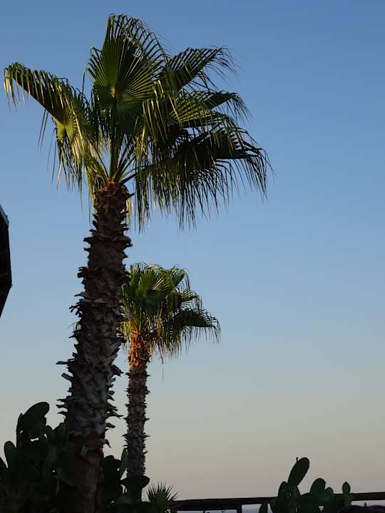 Gartenanlage Hotel Kalithea Horizon Royal