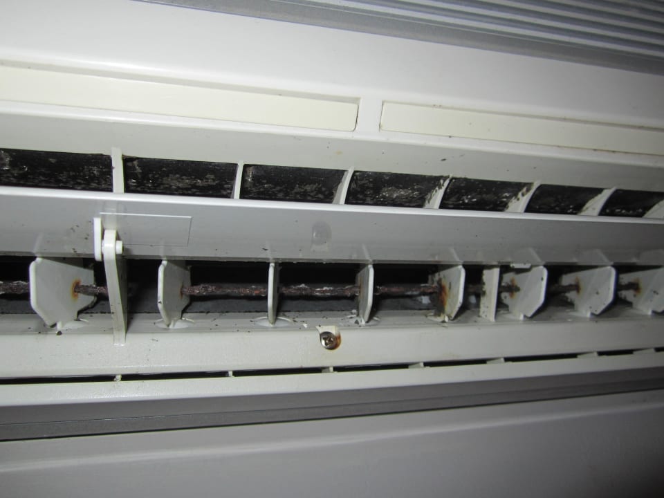 Keimschleuder Heron House - Adults only