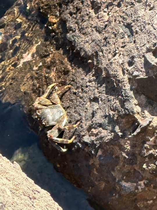 Strand Hilton Hurghada Plaza