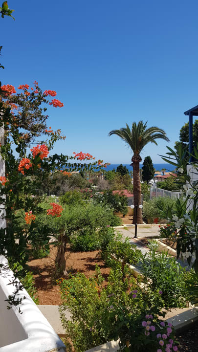 Gartenanlage TUI SUNEO Chrissi Amoudia