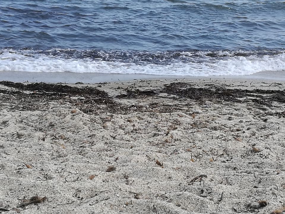 Strand Knossos Royal