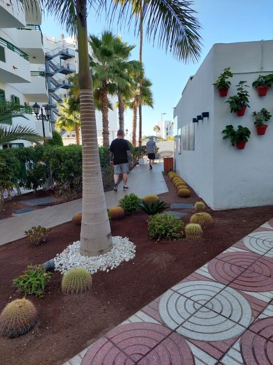 Gartenanlage Servatur Playa Bonita